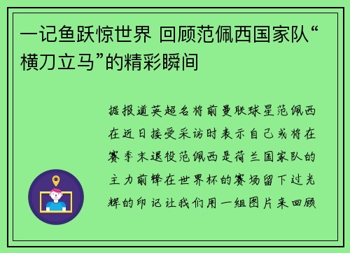 一记鱼跃惊世界 回顾范佩西国家队“横刀立马”的精彩瞬间